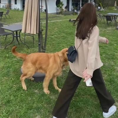 情人节杀手