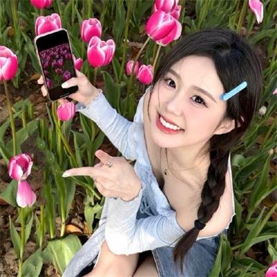粉红火鹤的神秘凝视
